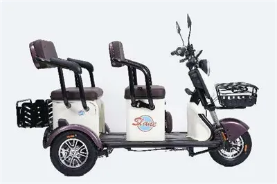 Elektrinis dviratis dviračiu