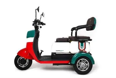 Elektrinis trieigio ratas suaugusiems