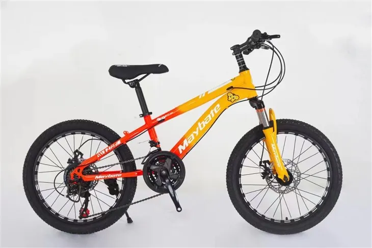 Dviračiai paaugliams