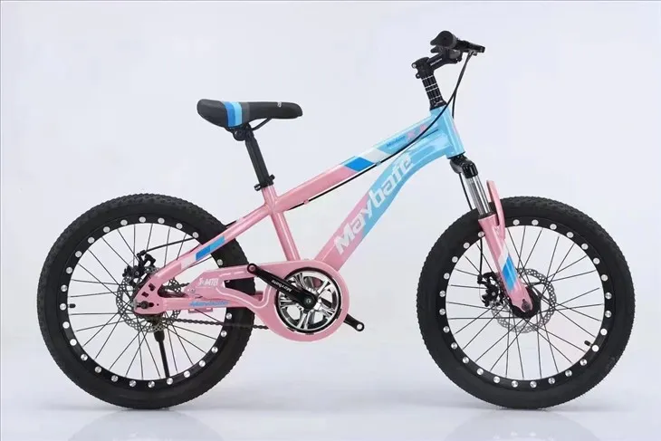 Jaunimo kalnų dviratis